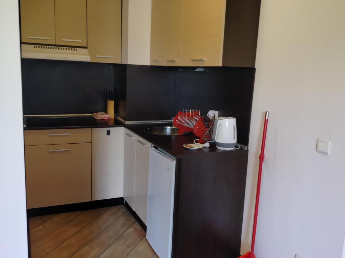 Alpine Lodge Bansko Apartments Екстер'єр фото