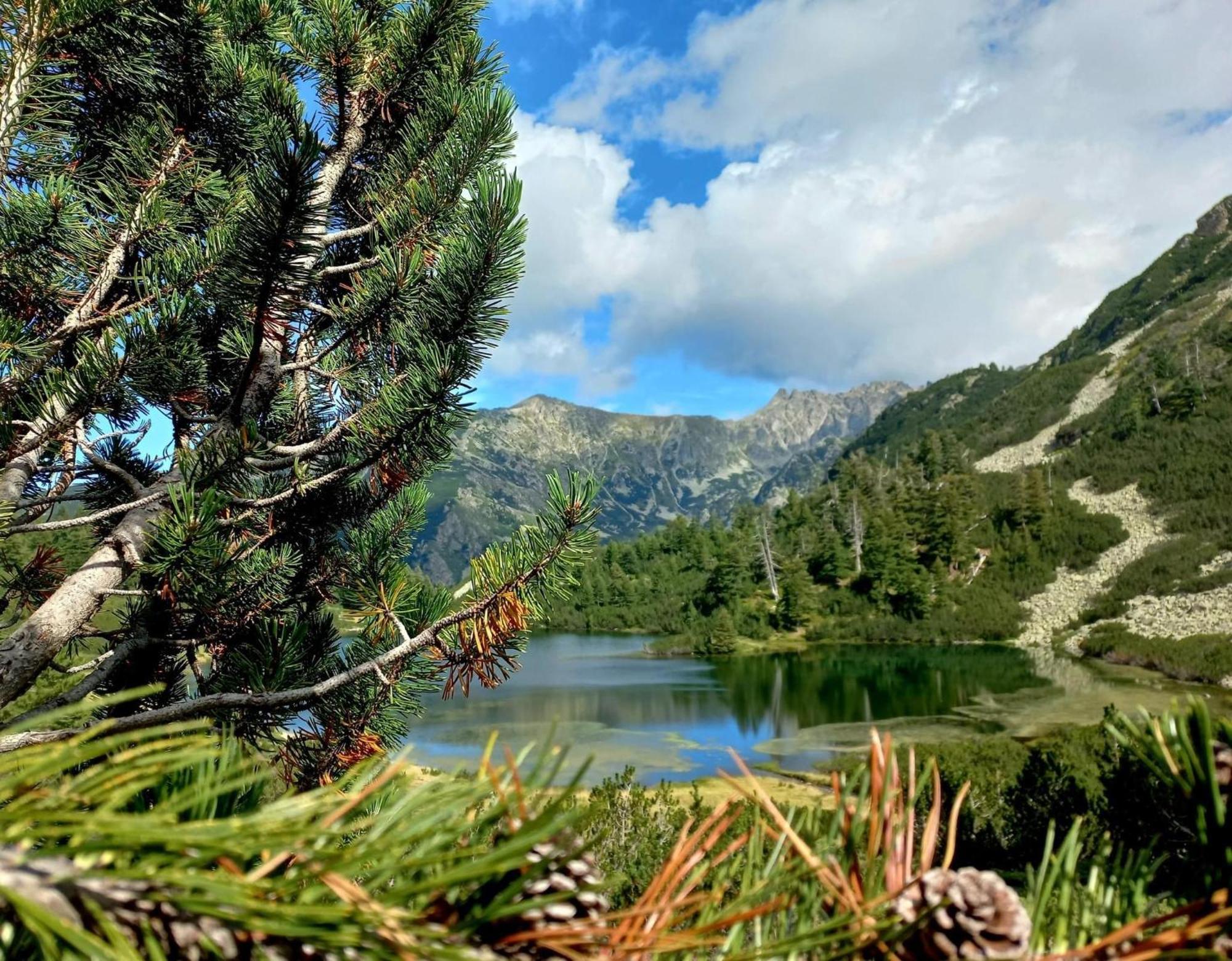 Alpine Lodge Bansko Apartments Екстер'єр фото