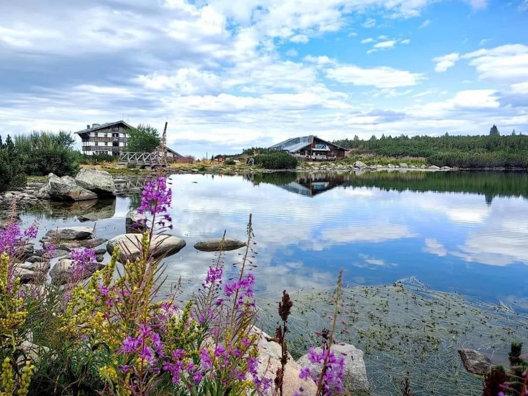 Alpine Lodge Bansko Apartments Екстер'єр фото