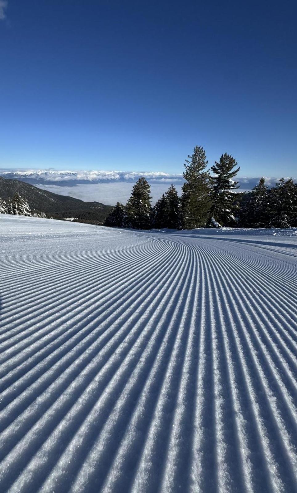 Alpine Lodge Bansko Apartments Екстер'єр фото