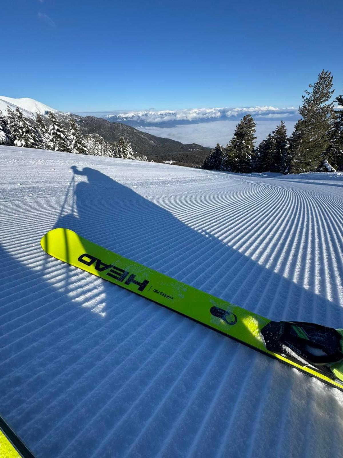 Alpine Lodge Bansko Apartments Екстер'єр фото